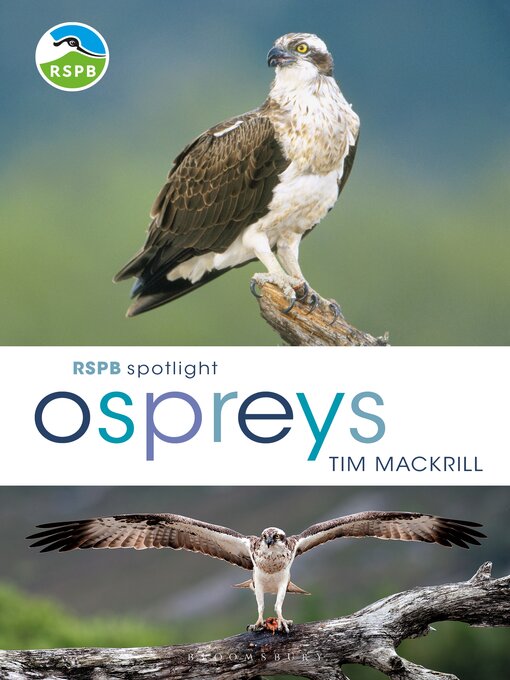 Title details for RSPB Spotlight Ospreys by Tim Mackrill - Available